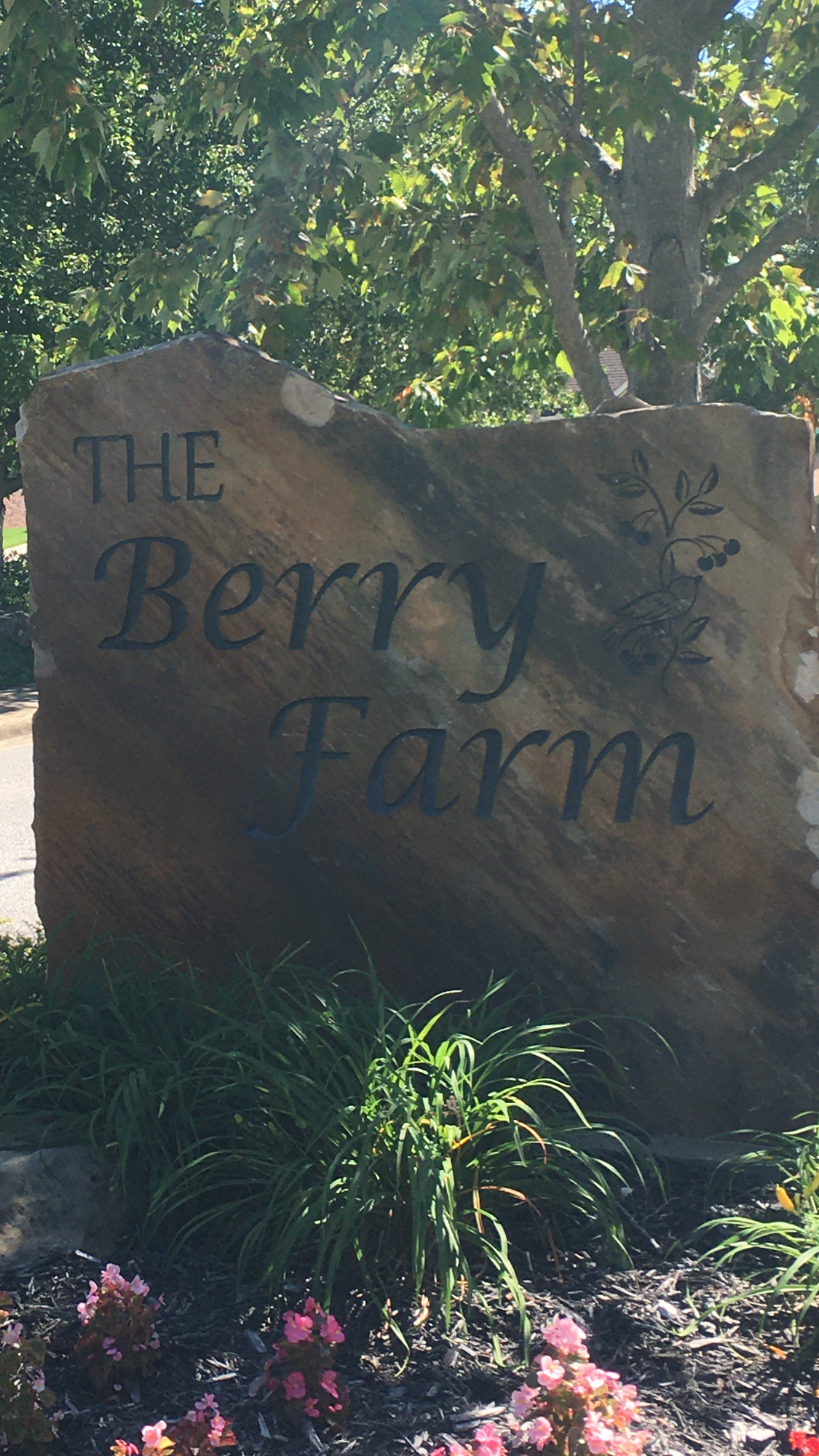 Berry Farm Neighborhood Rogers Arkansas